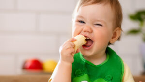introducao alimentar